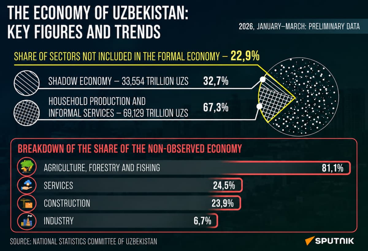 Uzbekistan's non-observed economy shrinks to 22.9% of GDP in first half of 2026
