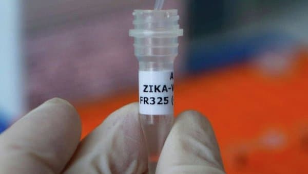 Puerto-Rikoda Zika virusi sababli favqulodda vaziyat kiritildi
