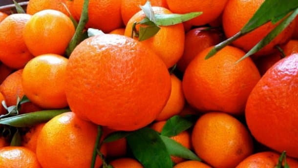 Mandarinlar nimasi bilan xavfli: kutilmagan ma'lumot