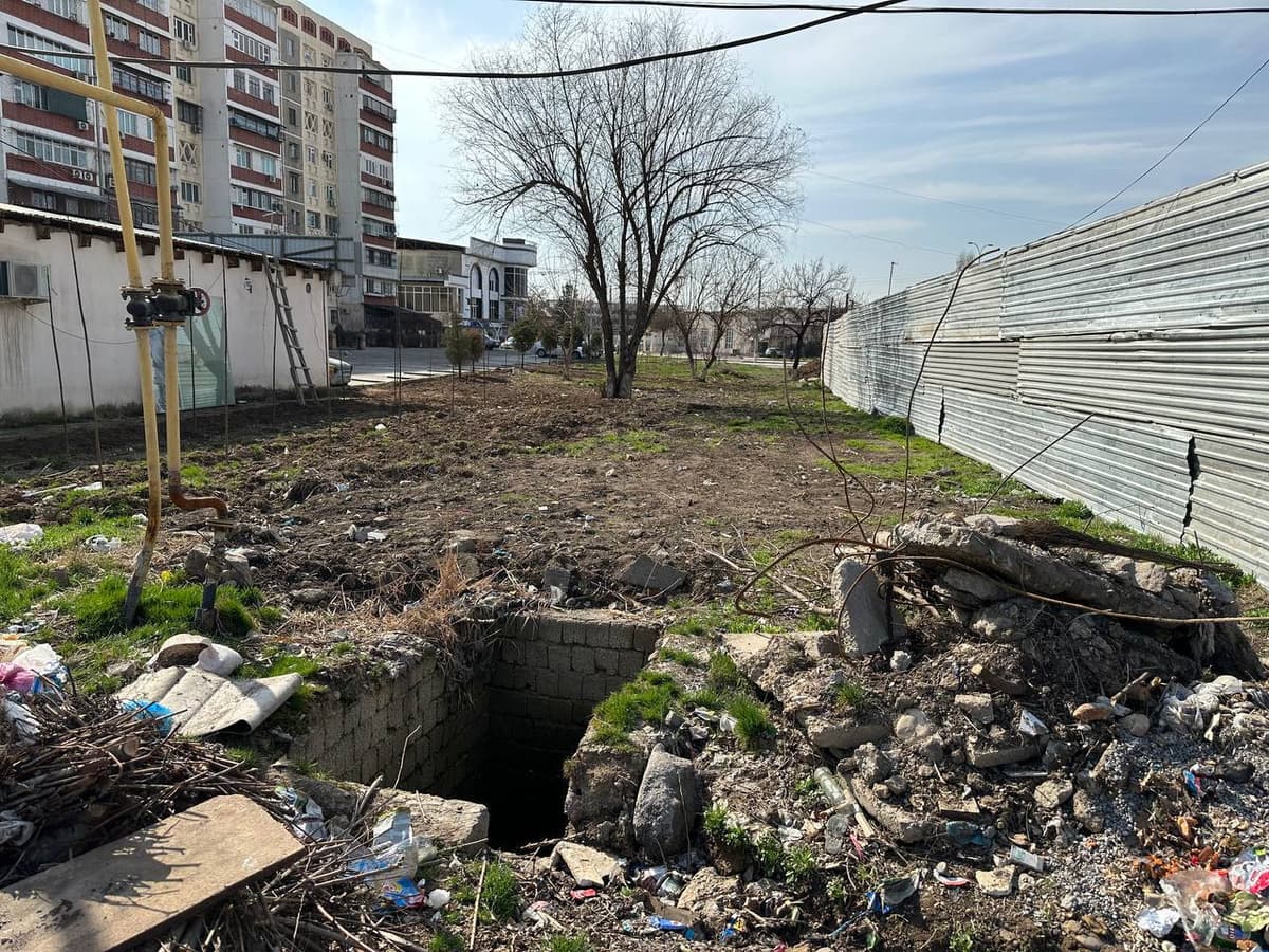 Shayxontohurda 45 tup daraxt kesilib, 35 tup ko‘chat ruxsatsiz ko‘chirildi
