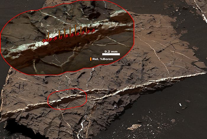 Олимлар: Curiosity Марсда ҳаёт бўлганидан дарак берувчи элемент аниқлади