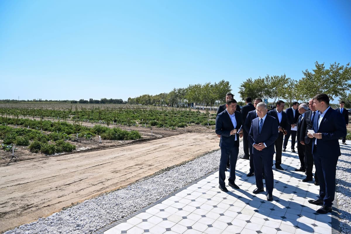 Prezident Kegeylidagi intensiv bogʻni borib koʻrdi