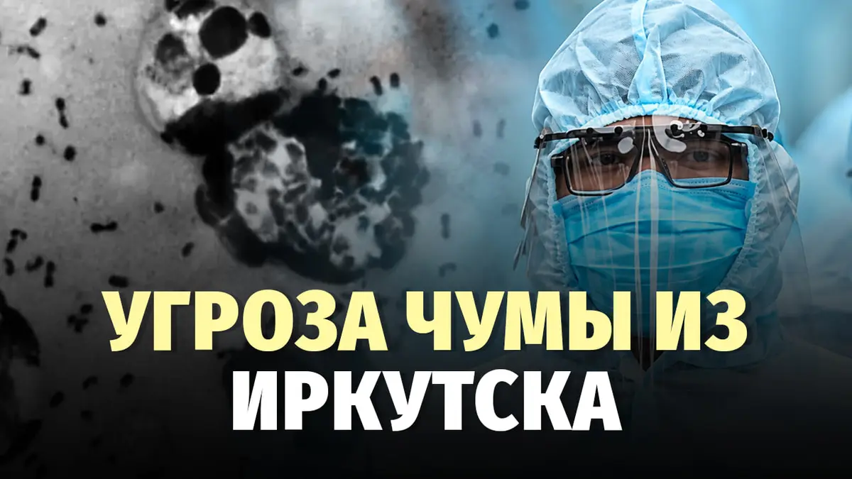 Чума или опасные слухи? Что произошло в Иркутске после смерти лаборантки