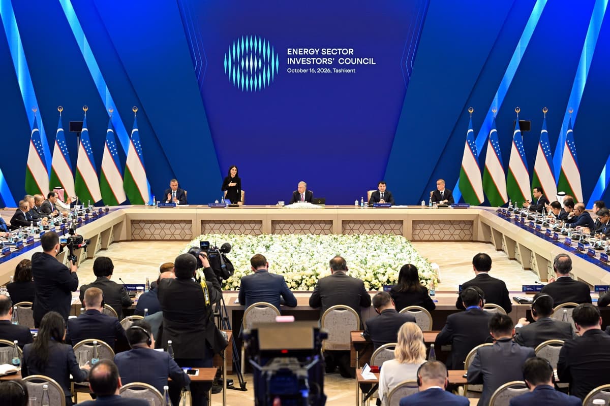 Yoqilgʻi-energetika sohasida investorlar kengashi tashkil etiladi. Unga Saida Mirziyoyeva rahbarlik qiladi