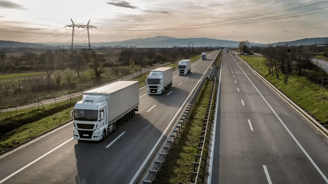 Transport Ministry warns against resale of international freight permits