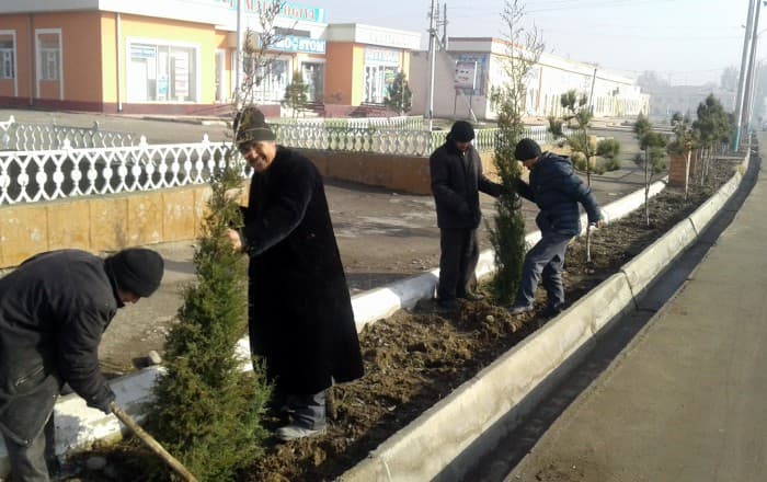Поп тумани аҳолиси 2017 йилни арча кўчатларини экишдан бошлади