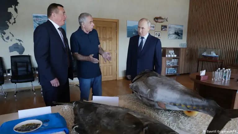 В МИД Японии отреагировали на визит Владимира Путина на Курилы