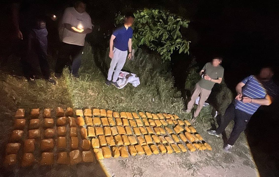 Qibrayda qariyb 95 kilogramm gashish topildi