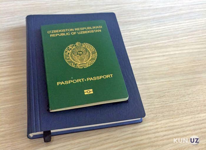 Fuqarolikni yo‘qotish to‘g‘risidagi hujjatlar qanday tayyorlanadi?