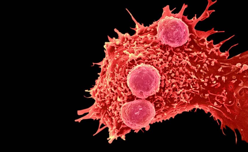 Хитойда инсон генлари биринчи марта CRISPR кўмагида ўзгартирилди