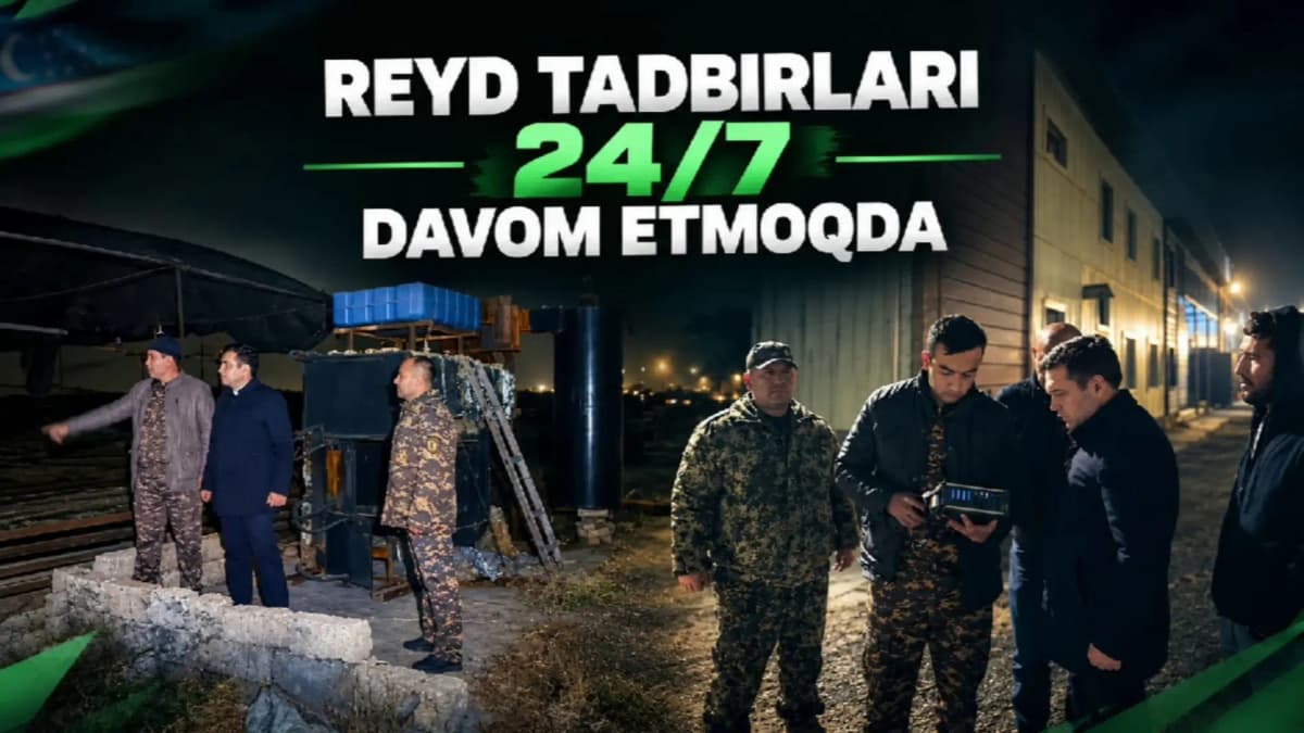 В Ташобласти выявили теплицу, где сжигали уголь с нарушением экотребований