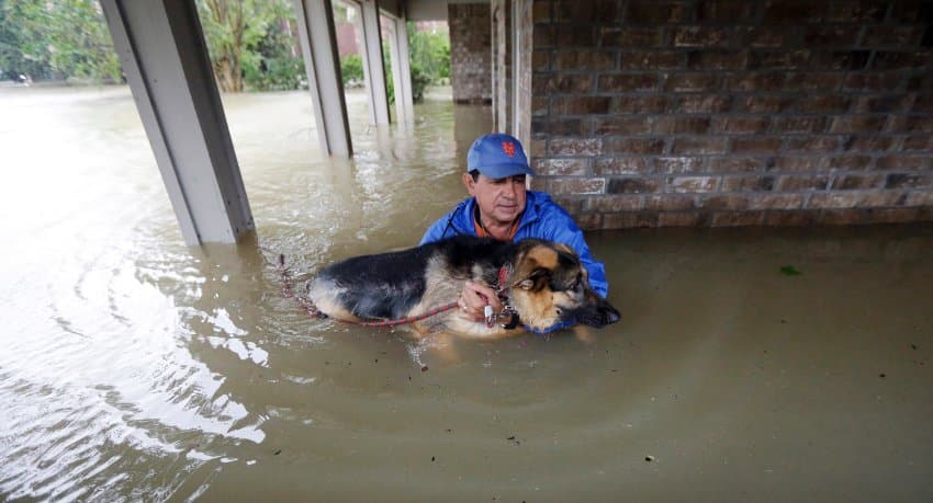 Foto: Texasliklar og‘ir damda do‘stlarini tashlab ketishmadi
