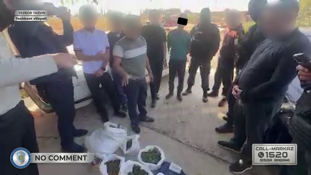 Из двух контейнеров в Кибрае изъяты 7 килограммов марихуаны и пневматическое оружие