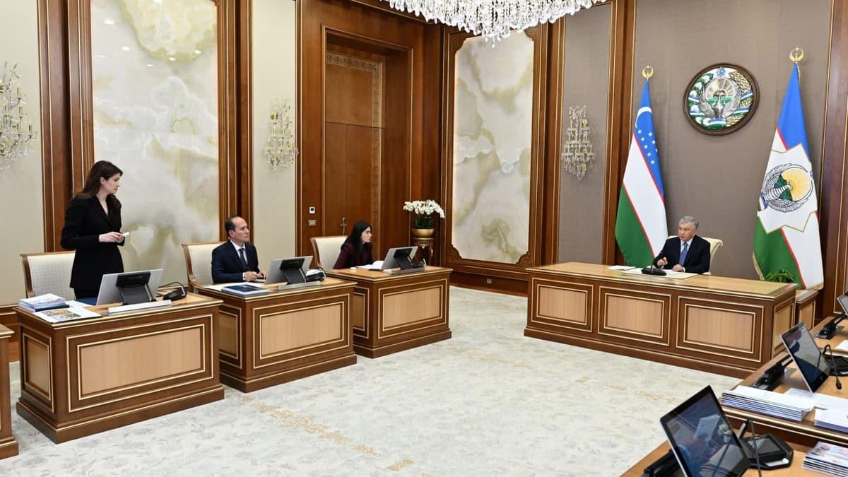 Президент ҳузурида соғлиқни сақлаш соҳасидаги йирик инвестиция лойиҳалари кўриб чиқилди