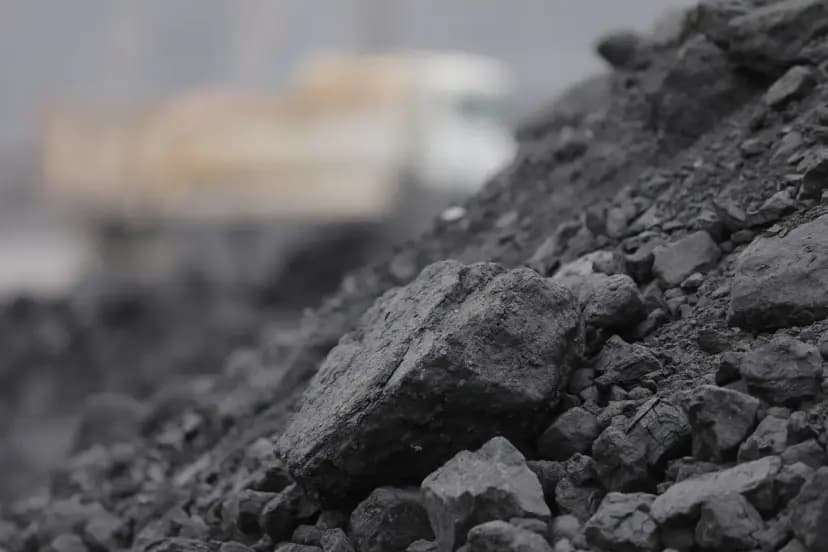 Семьям из реестра социальной защиты выплатят компенсацию до 600 тысяч сумов на покупку угля