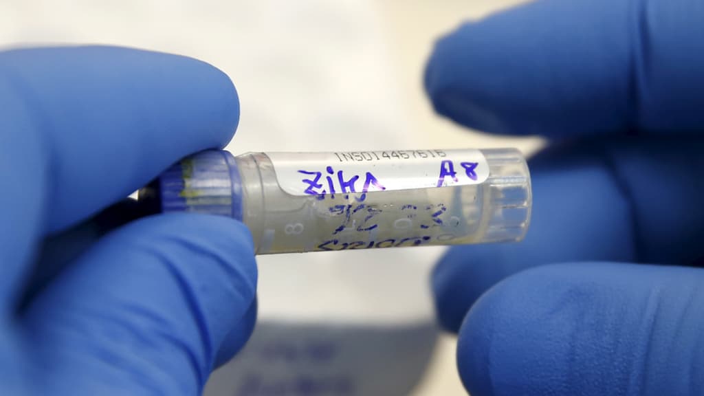 Meksikada Zika virusi bilan kasallanganlar soni 1,3 ming kishiga yetdi