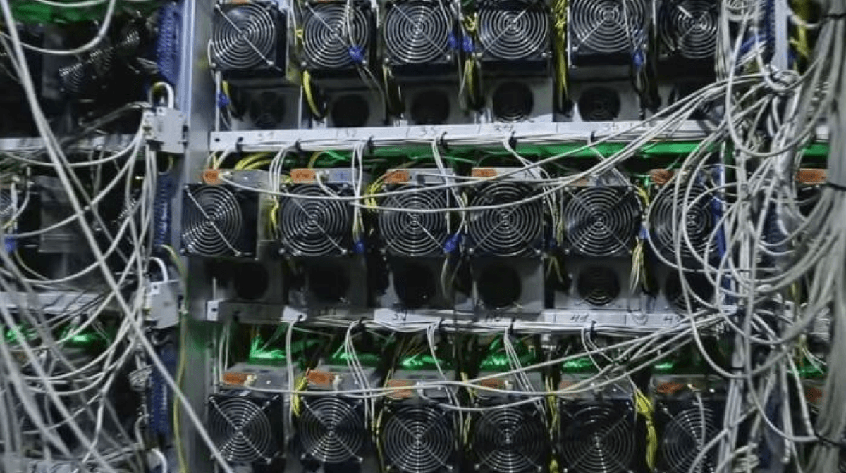 Another person who organized a mining farm arrested in Samarkand