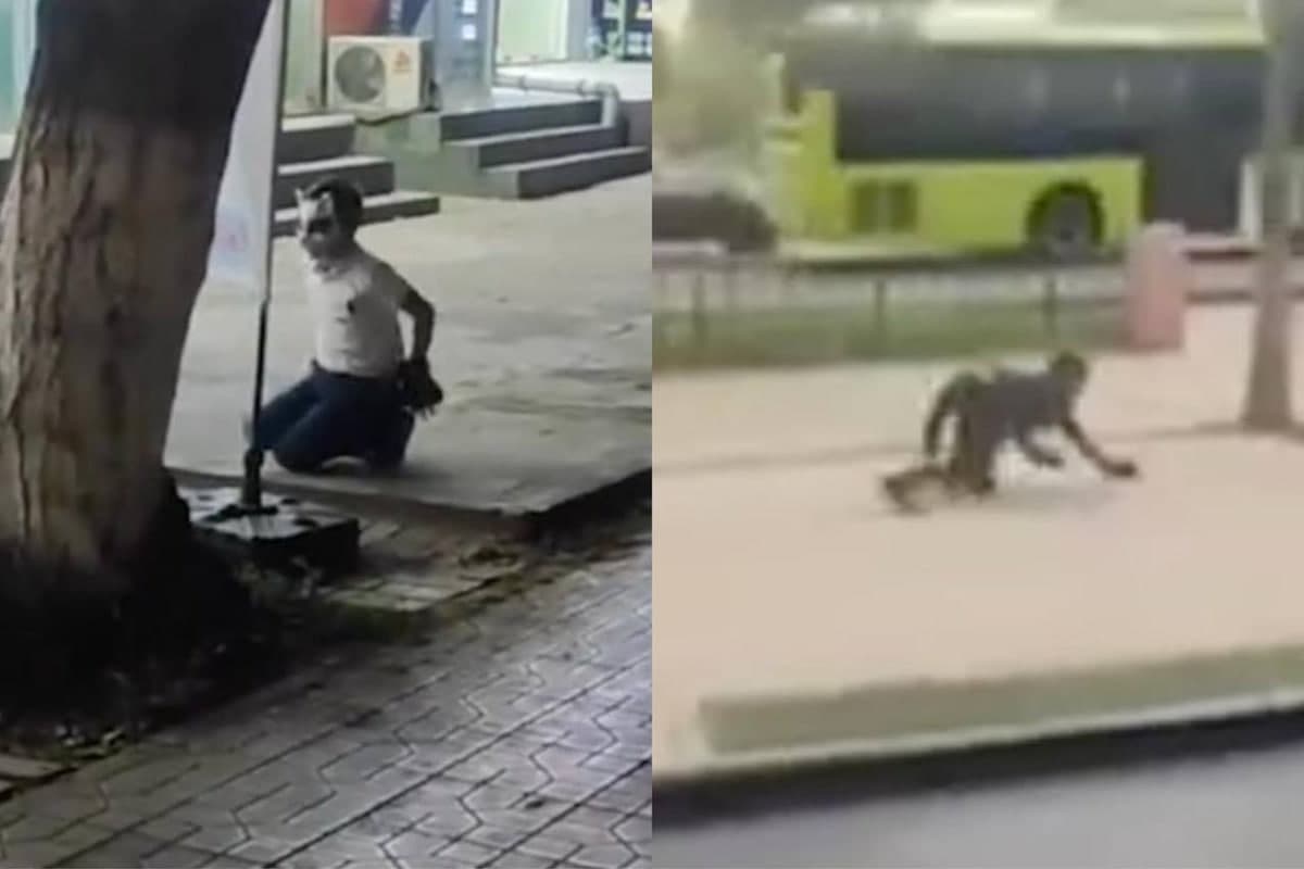 Voyaga yetgan kvadroberlar 15 sutkagacha qamalishi mumkin - IIV