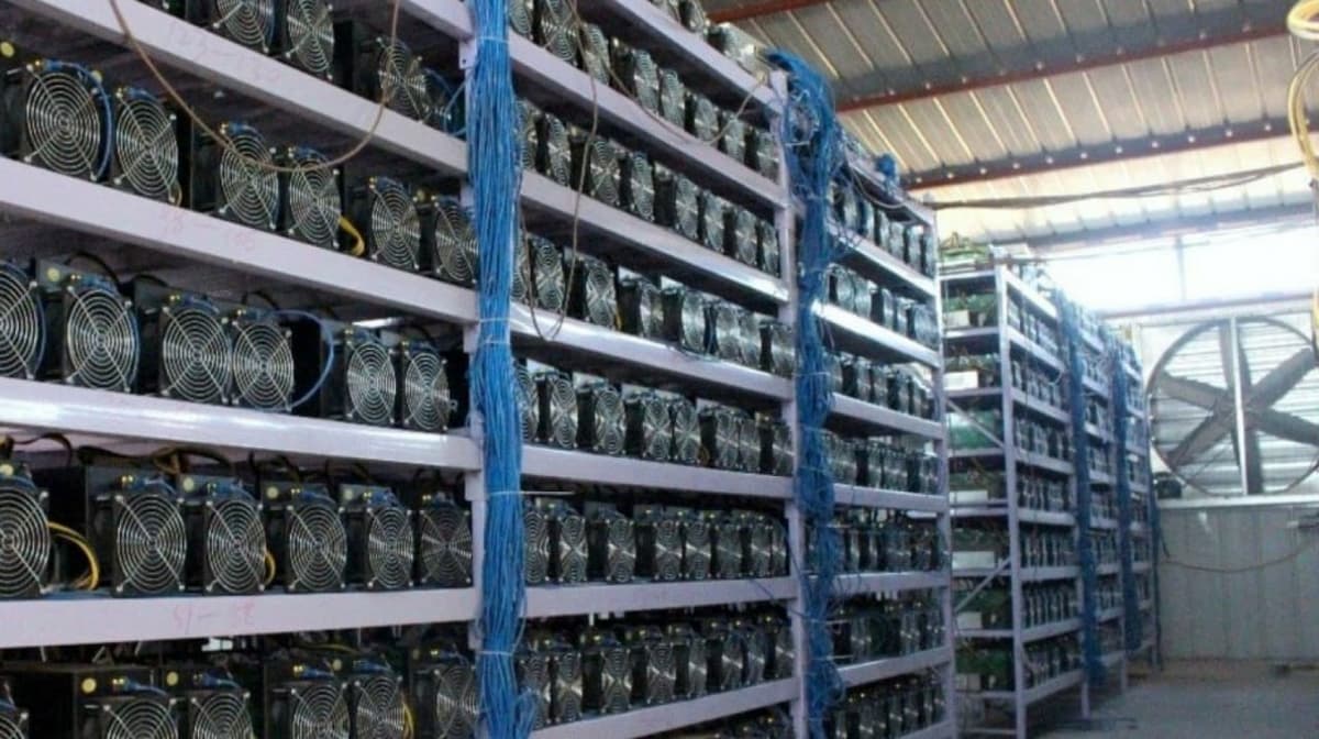 Individual who organized a mining farm in Samarkand caused more than 2 billion soums of damage to the state