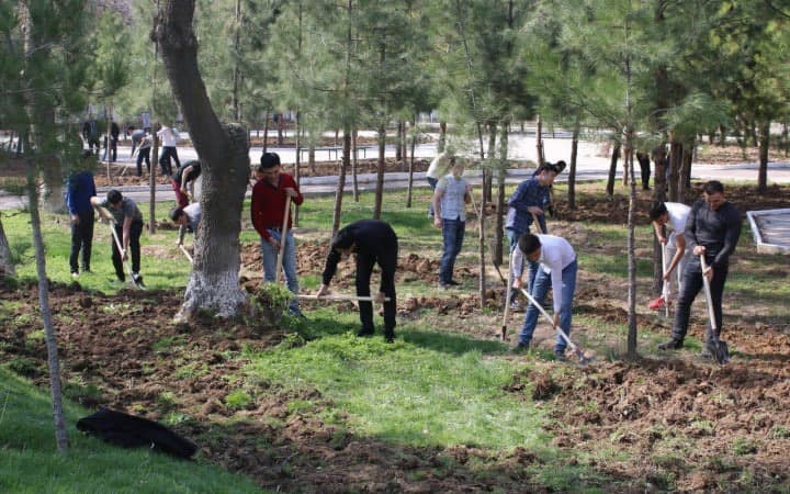 Hashar bahona tashkilotlar xodimlarining bir kunlik ish haqi ushlab qolinyapti. Bu qonunga zid