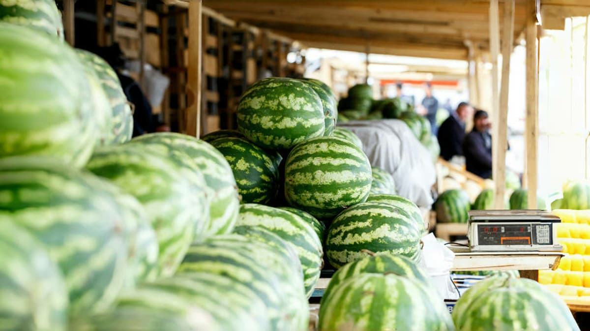 Watermelon seller arrested in Tashkent for molesting a female customer