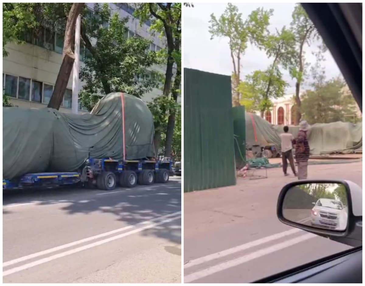 Многолетние деревья в районе бывшего здания СНБ в центре Ташкента тайно вырубают и вывозят