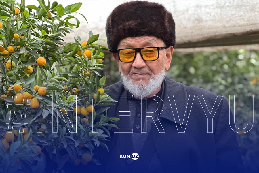“Limonchilik sabab kasallikdan forig‘ bo‘ldim” – 250 tup limondan 10 tonna hosil olayotgan otaxon