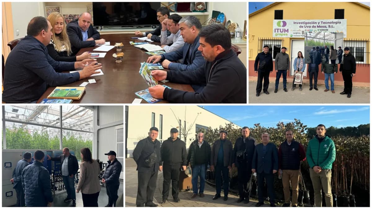O‘zbekiston mevali bog‘larni barpo etish bo‘yicha Ispaniya tajribasini o‘rganmoqda