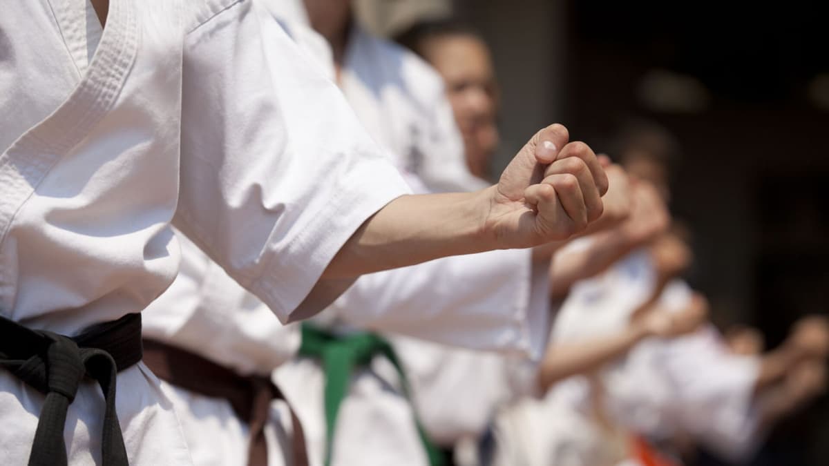 O‘zbekiston karate assotsiatsiyasi tashkil qilinadi