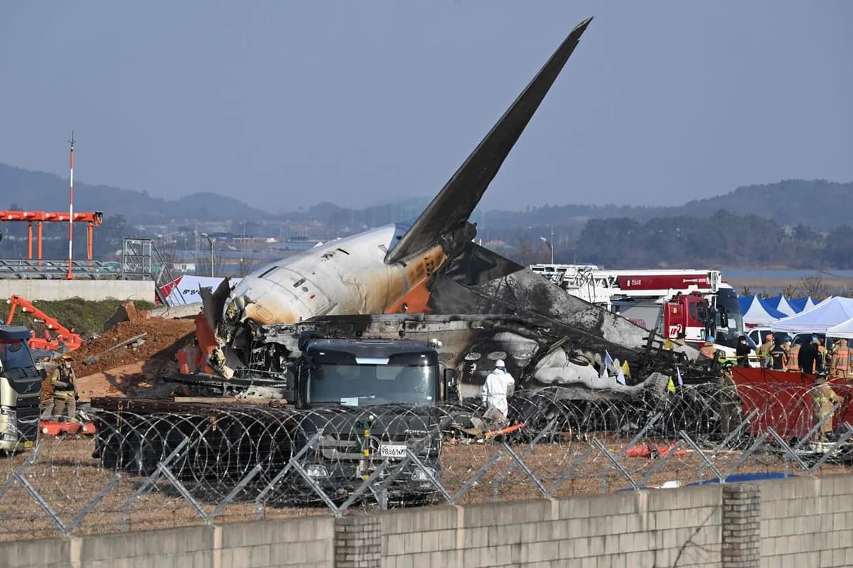 Жанубий Кореяда - Jeju Air самолётининг ҳалокати туфайли тинтувлар