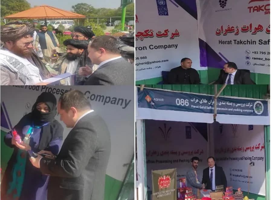 O‘zbekiston va Afg‘oniston birgalikda za’faron yetishtirishga kelishib oldi