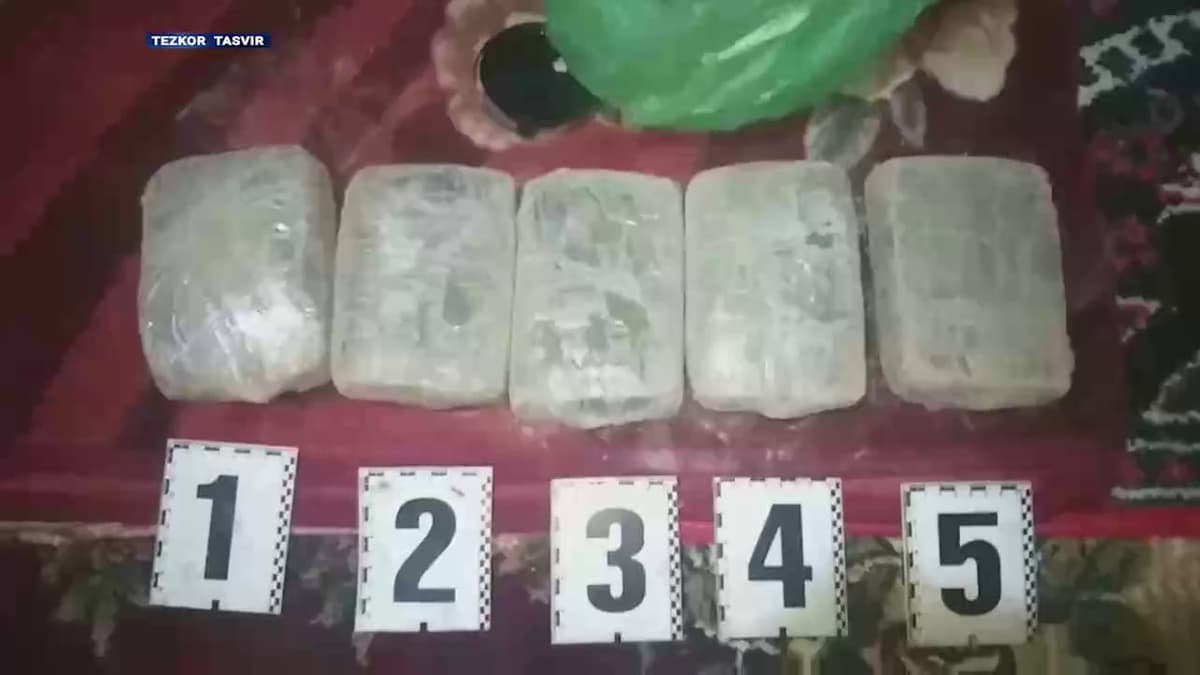 DXX Qirg‘iziston va Tojikistondan olib kelingan 11 kg giyohvandlik vositasini musodara qildi