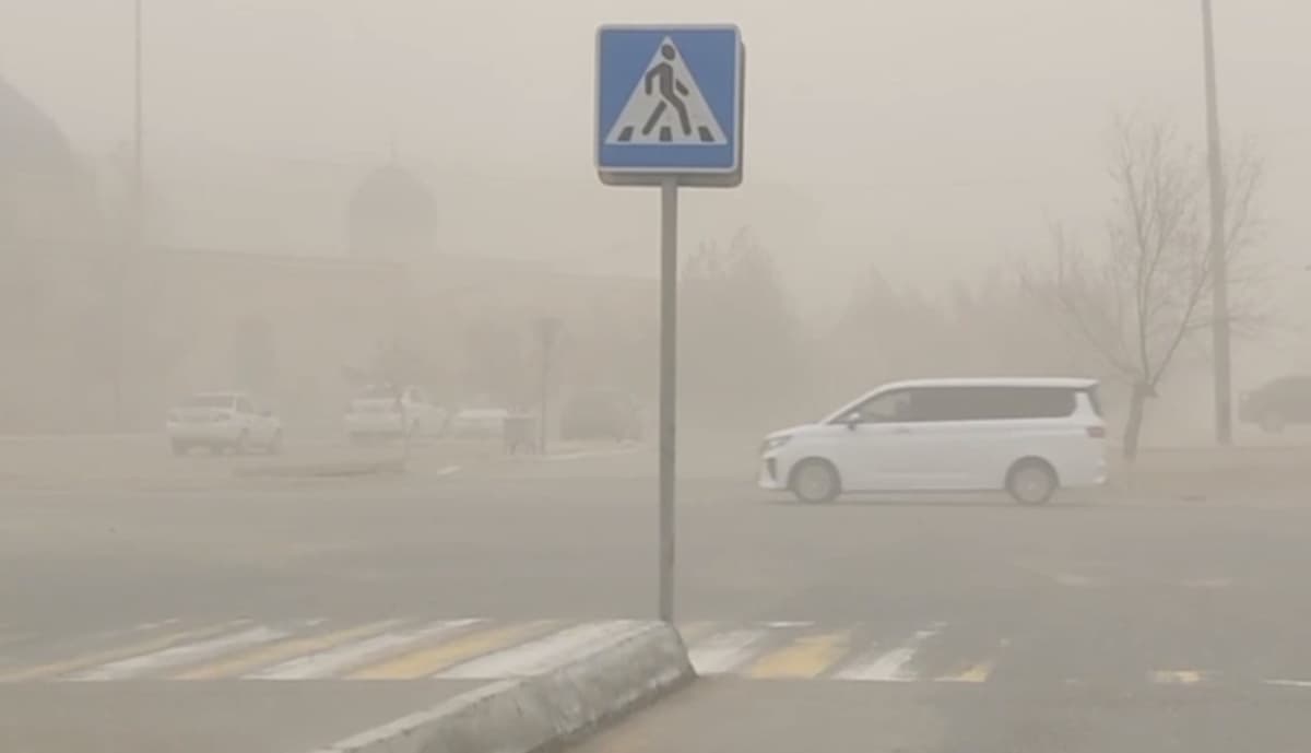 Strong dust storms hit Navoi region