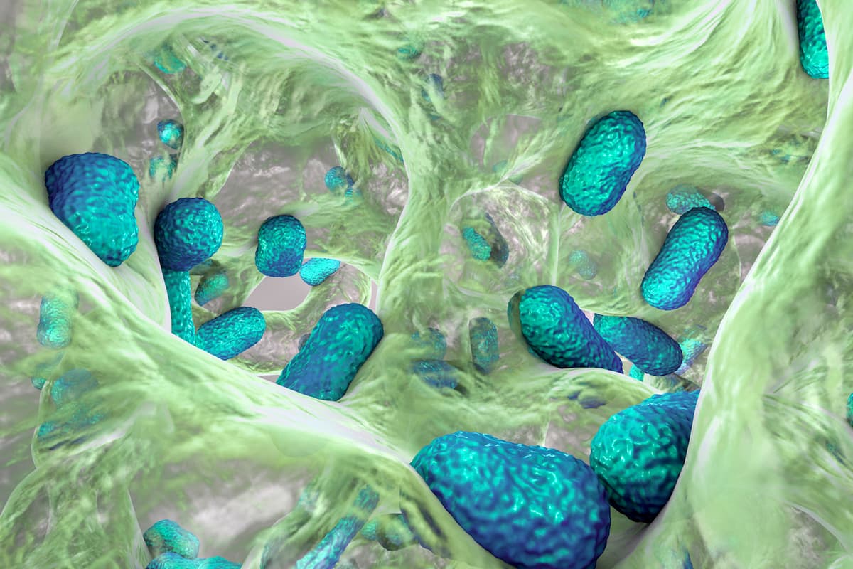 Olimlar bakteriyalardan yangi antibiotik yaratdi