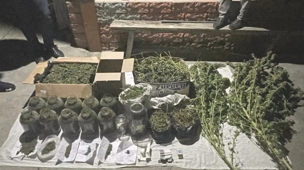 Police arrest Tashkent man for storing 38 kg of narcotics in his home