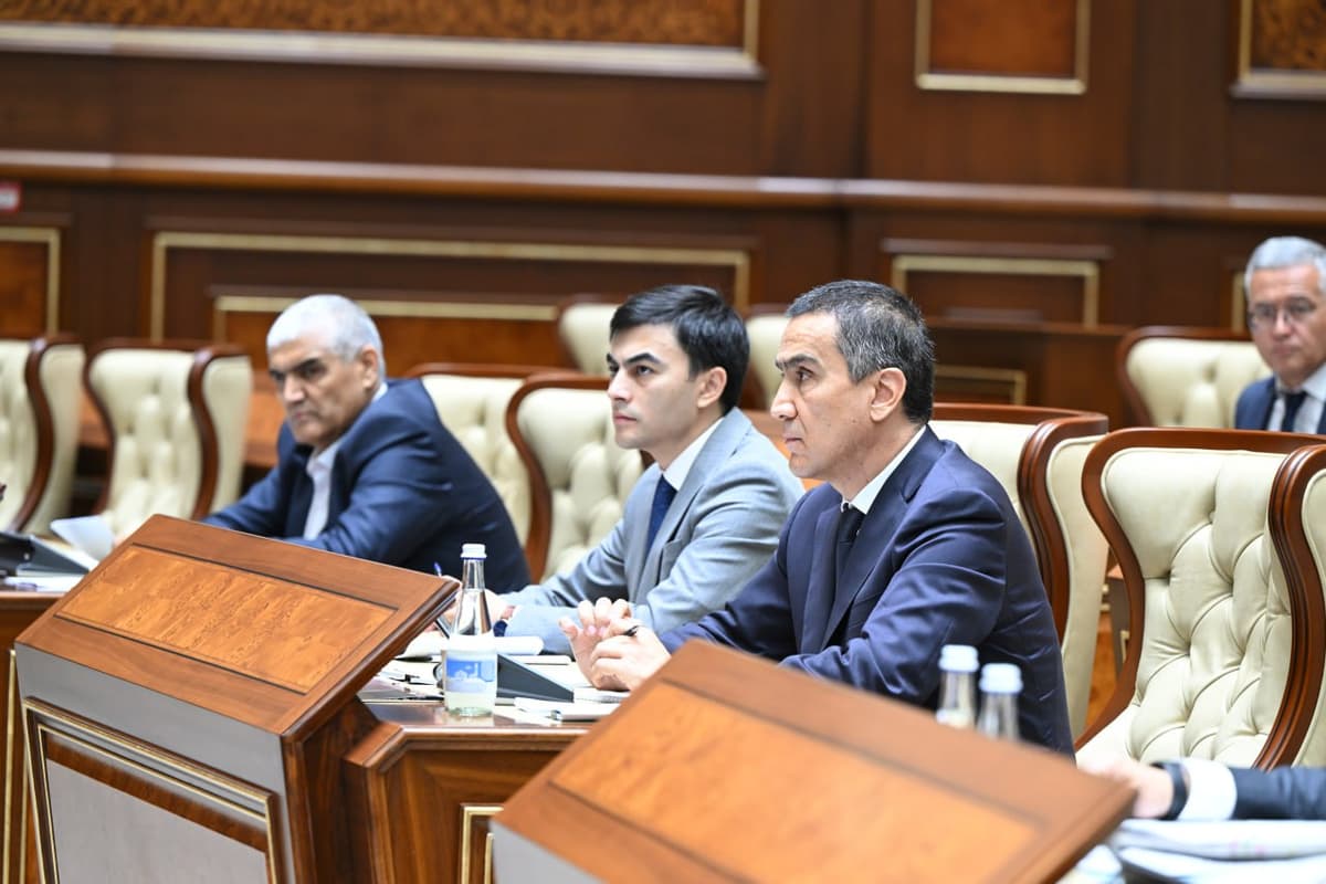Senate approves new edition of law on electric power industry to enhance market transparency and investment