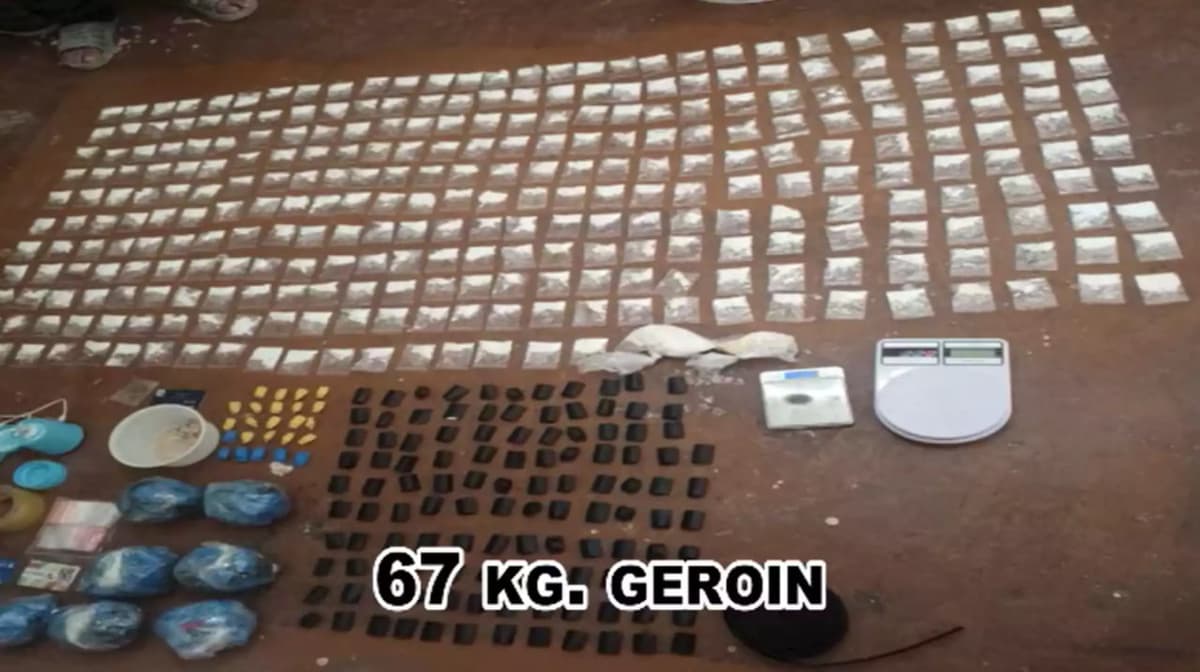 Law enforcement officers confiscate over 255 kg of drugs worth 161 billion UZS