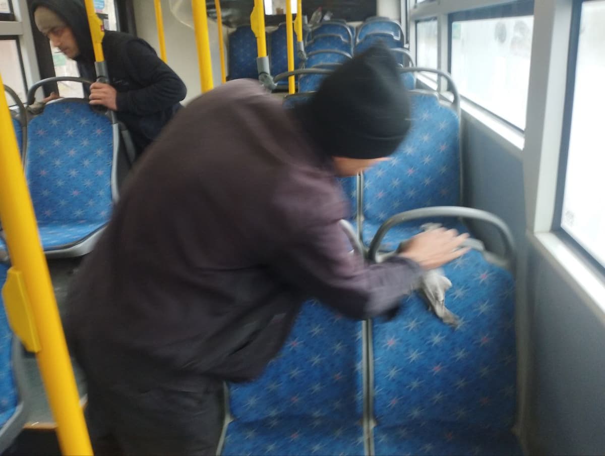 Tanqiddan so‘ng: Toshkentda 50-avtobusning sanitar holati tartibga keltirildi