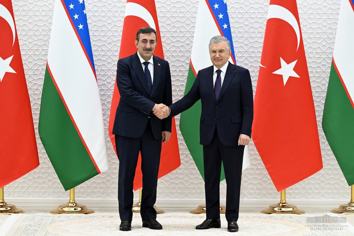 Shavkat Mirziyoyev Turkiya vitse-prezidenti bilan uchrashdi