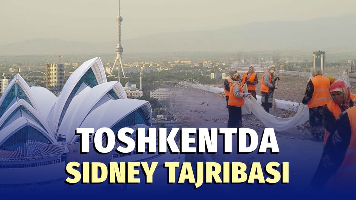Shavkat Umrzoqov: Toshkent mahallalari Sidney tajribasi asosida obodonlashtiriladi