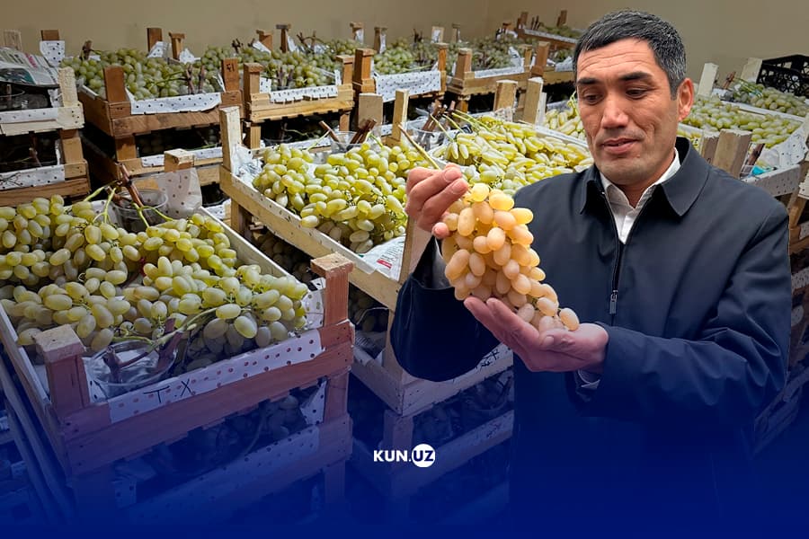 Qishga saqlangan uzumlar