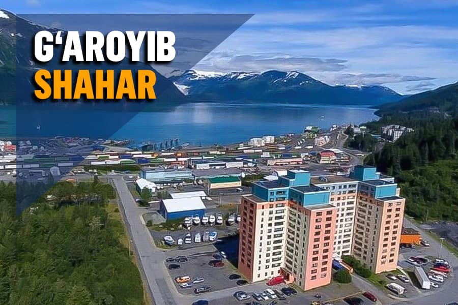 Ғаройиб масканлар: АҚШдаги битта уйдан иборат шаҳарча қандай пайдо бўлган? (Фото)