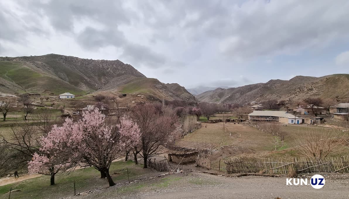 Dam olish kunlari beqaror ob-havo bo‘lishi kutilmoqda