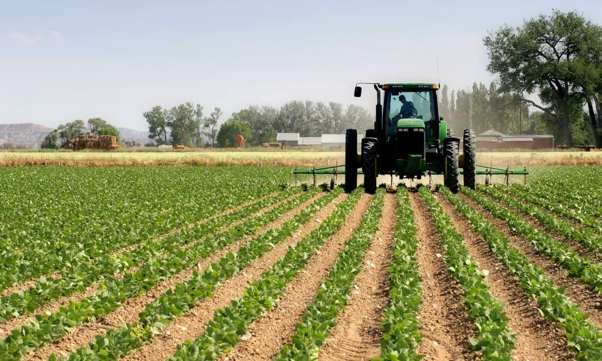 Leasing of agricultural land to be simplified