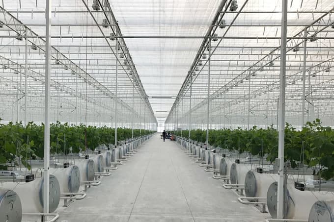 Korean Western Power plans to build a biofuel plant in Uzbekistan