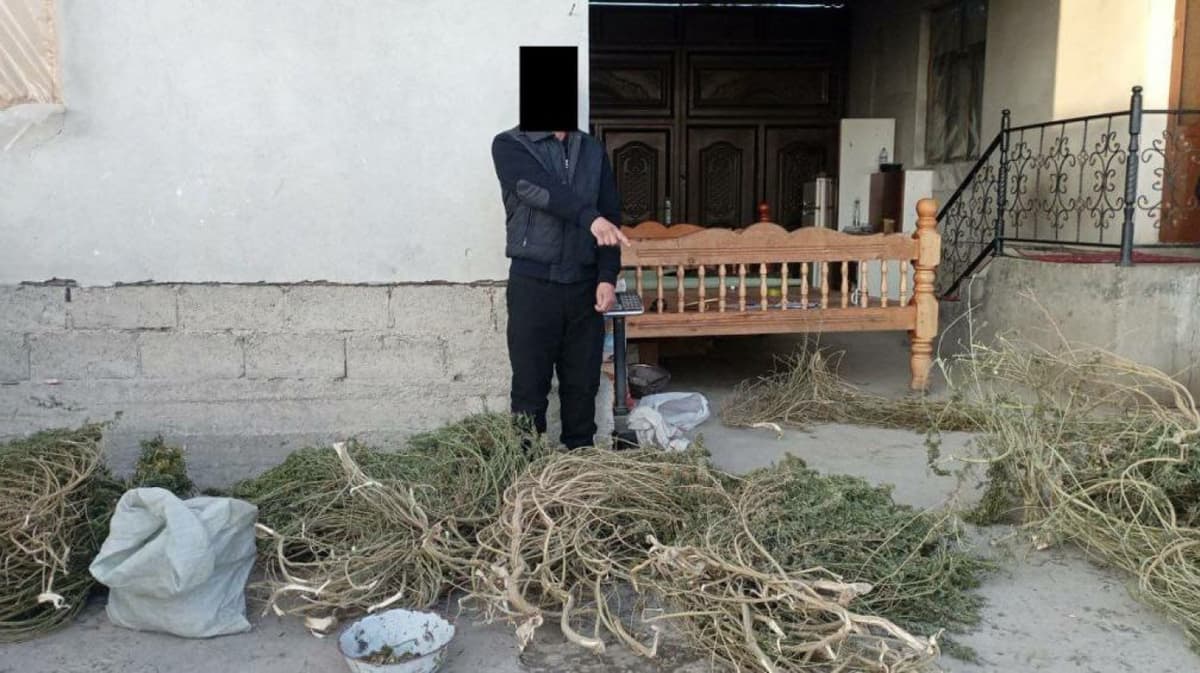 Drug trafficker detained in Samarkand for storing 32 kg of narcotic substances at home