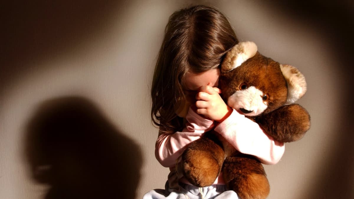 4-летняя девочка подверглась сексуальному насилию в детском саду в Келесе