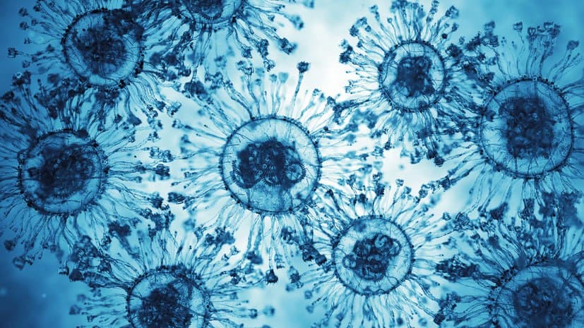 Sanitary and Epidemiological Committee addresses public concerns over metapneumovirus outbreak