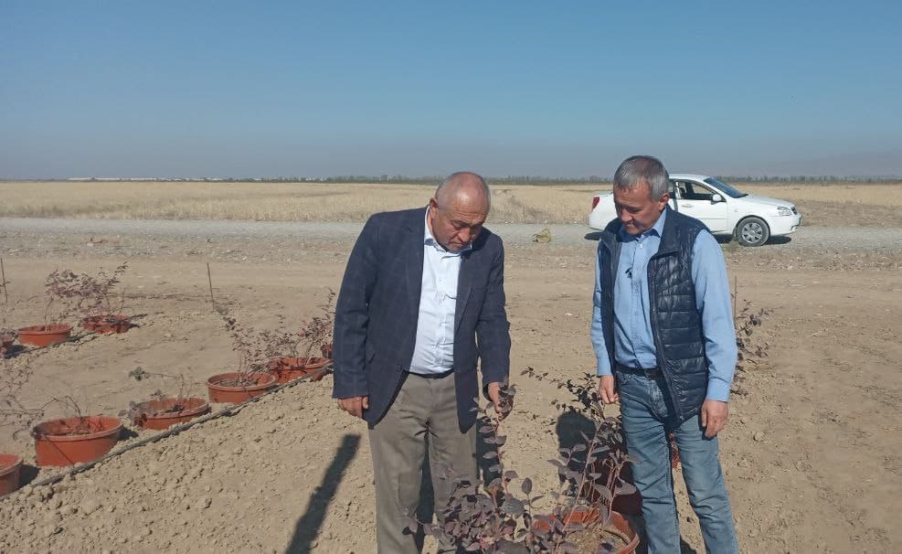 BAA Andijonda arab tajribasi asosida bog‘ yaratmoqda