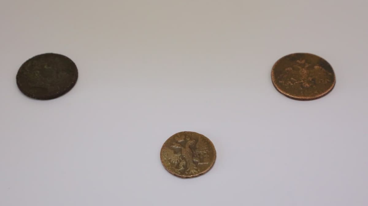 Four ancient coins confiscated at Bukhara Airport